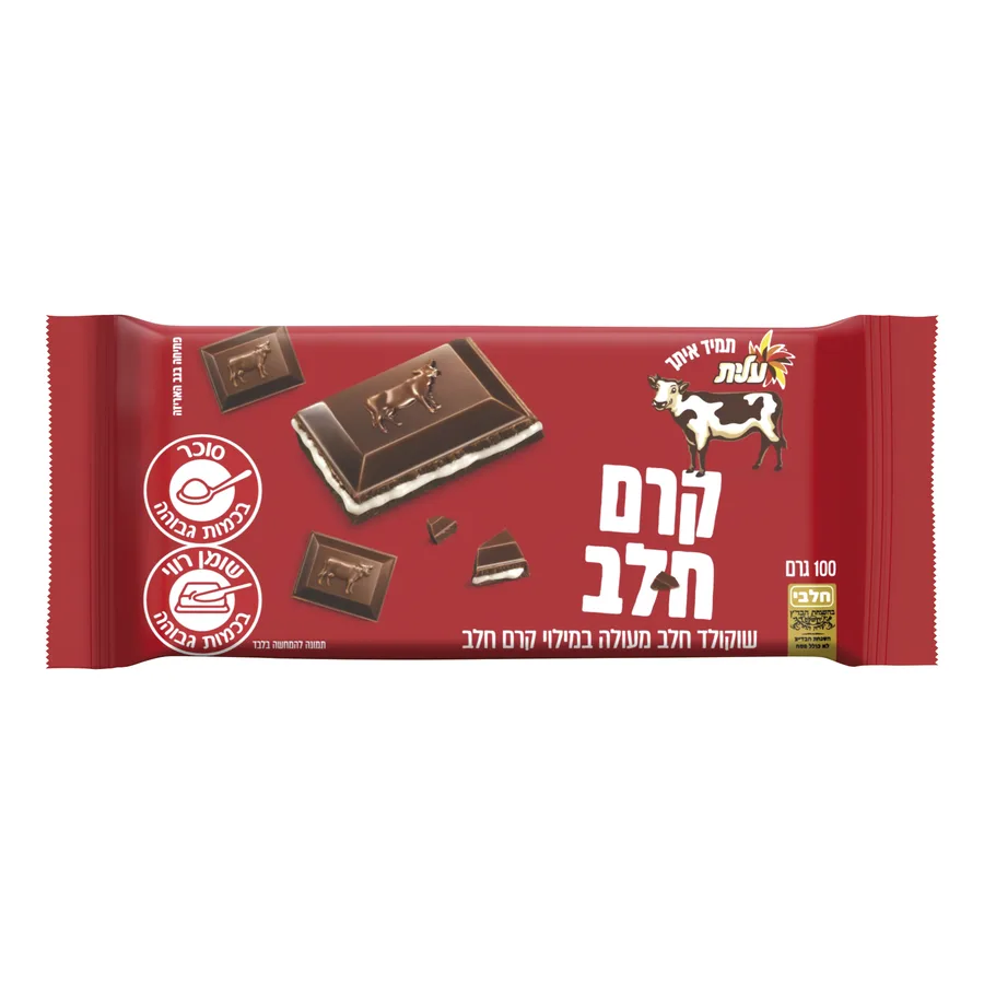 שוקולד קרם חלב 100 ג׳ עלית