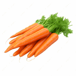 גזר