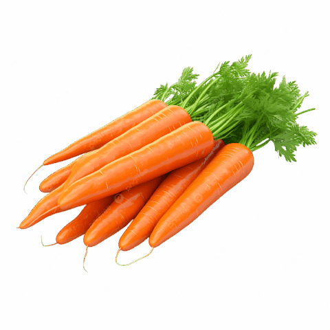גזר